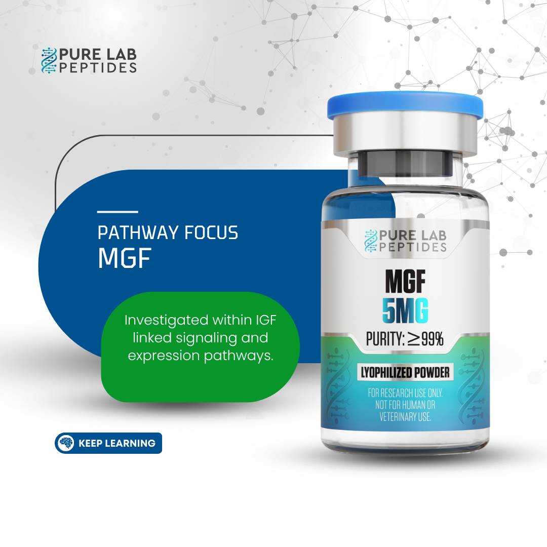 Mechano growth factor (MGF) 5mg - Image 4